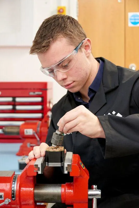 Domino apprentice fixing gear