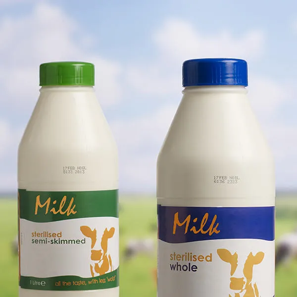 Industry-Food-Thumbnail-Dairy-Bottle